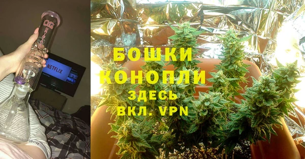 каннабис Беломорск