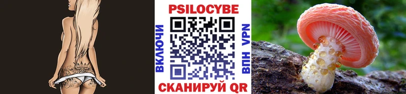 ОМГ ОМГ зеркало  Набережные Челны  Псилоцибиновые грибы Psilocybine cubensis 
