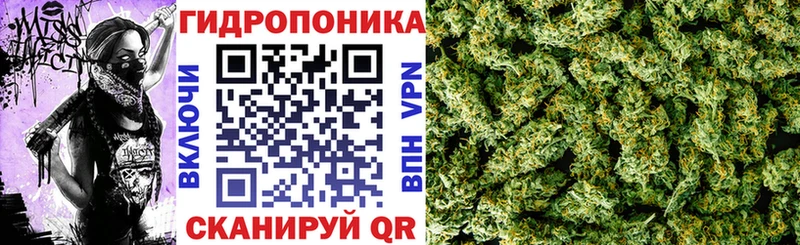 ссылка на мегу маркетплейс  где продают   Набережные Челны  Каннабис индика 